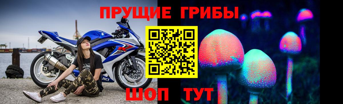 Ковров  Псилоцибиновые грибы прущие грибы  Вход с VPN  Галлюциногенные грибы GOLDEN TEACHER 
