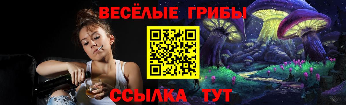 Галлюциногенные грибы Psilocybine cubensis Ковров