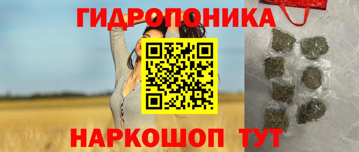 Бошки Шишки конопля  Вход с VPN  Конопля ГИДРОПОН  Канабис Amnesia  Ковров  Каннабис OG Kush 